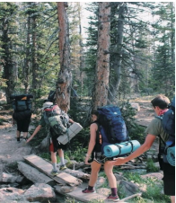 自然學(xué)校 自然學(xué)校