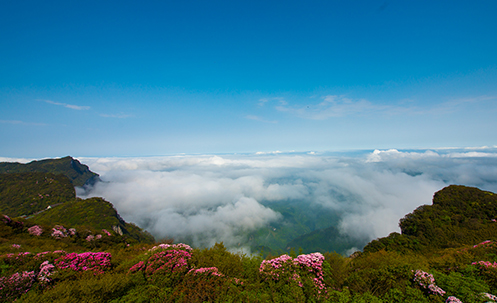 重慶全域旅游規(guī)劃